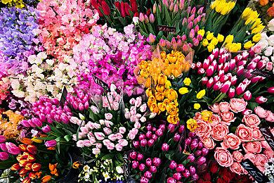 水晶动力和Eidos 2028年3月前将推出5个3A游戏